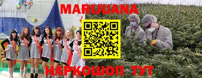 каннабис Новозыбков