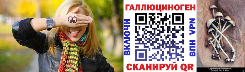 Псилоцибиновые грибы мухоморы блэк спрут ссылка Арзамас закладка