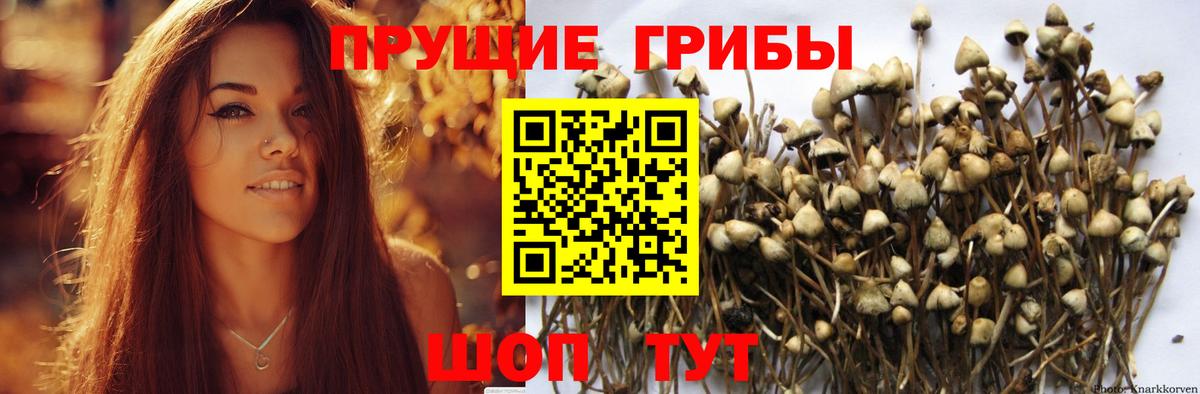 Псилоцибиновые грибы ЛСД  Вход с VPN  Галлюциногенные грибы ЛСД  сколько стоит  Арзамас 